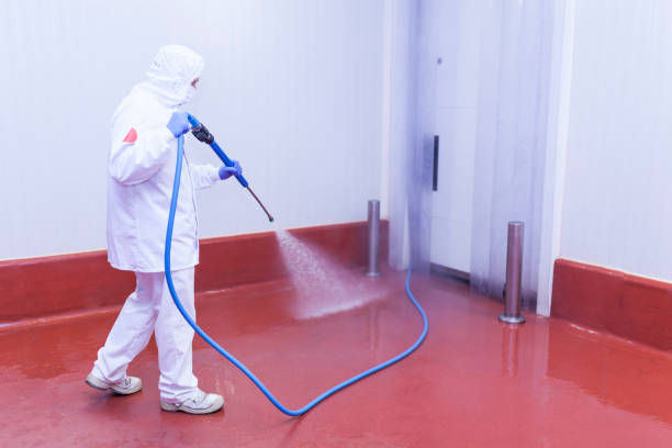 Best Spring Cleaning  in Lodi, CA