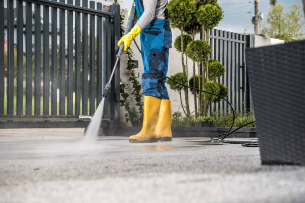Best Driveway Pressure Washing  in Lodi, CA